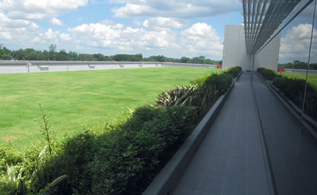 Green roof of Singapore Manufacturing Facility