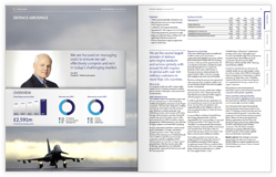 Annual report 2013 - Business segments