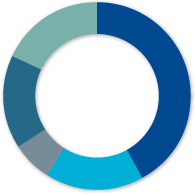 2013 group overview Pie Chart image 